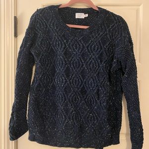 Time and Tru blue sweater